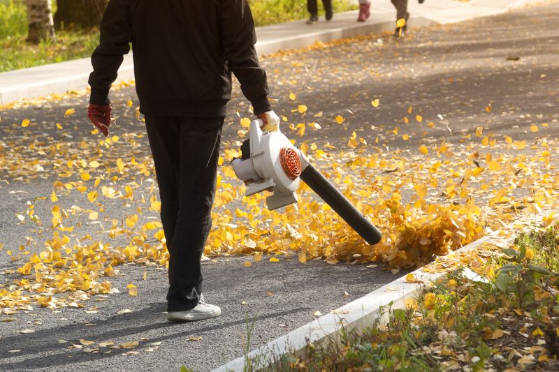 Leaf Blowing Method