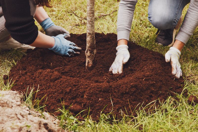Magnolia Tree Planting in Honolulu, HI